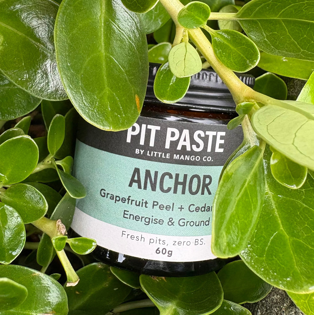 ANCHOR — Grapefruit Peel + Cedar Bark Little Mango Co.