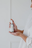 Cleansing Facial Oil Little Mango Deodorants